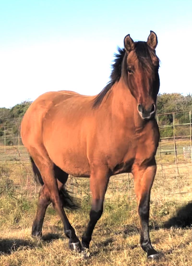 SR POCO DUN SASSY